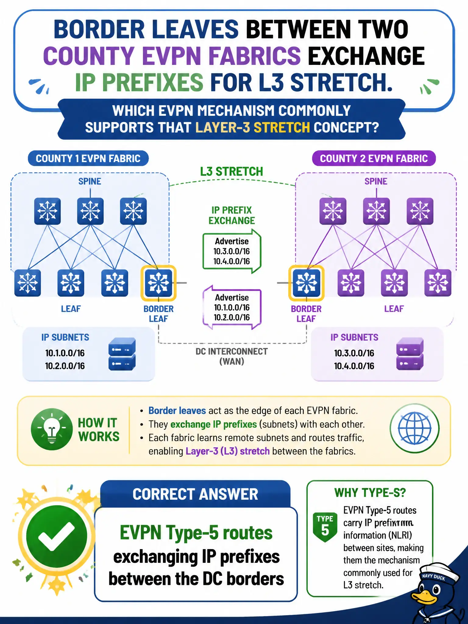 To Create an exciting colorful infographic that explains the concepts in the question: Question: Border leaves between two county EVPN fabrics exchange IP prefixes for L3 stretch. Which EVPN mechanism commonly supports that Layer-3 stretch concept? Correct Answer: EVPN Type-5 routes exchanging IP prefixes between the DC borders Put EVERY visible label in double quotes. No people. No A/B/C/D letters. In one of the four corners put a little "Navy Duck".