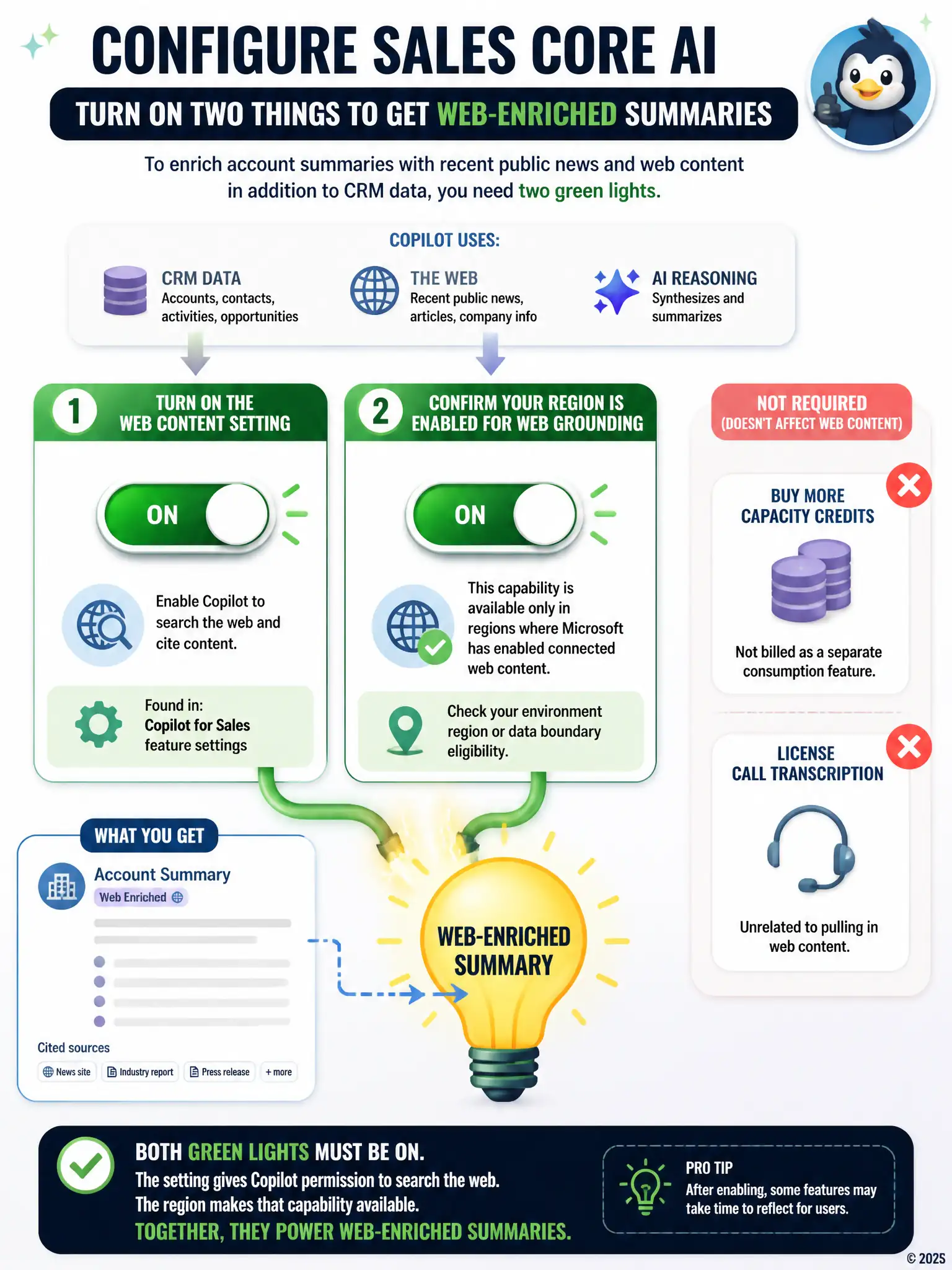 Portrait infographic with two switches that both must be on to light a bulb labeled 'web-enriched summary': switch one labeled 'web content setting', switch two labeled 'region enabled for web grounding'. Show unrelated distractor icons, credits and call recording, crossed out to the side.