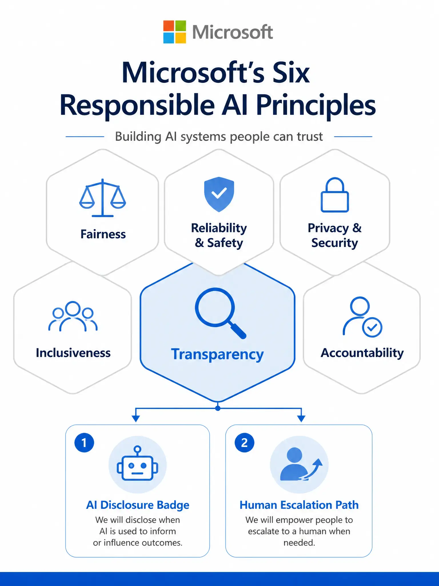 A 1536x2048 portrait infographic. A clean infographic showing Microsoft's six responsible AI principles as hexagonal tiles: Fairness, Reliability & Safety, Privacy & Security, Inclusiveness, Transparency, and Accountability. The Transparency tile is highlighted in blue with a magnifying glass icon. Below it, two sub-elements are shown: (1) 'AI Disclosure Badge' with a robot icon, and (2) 'Human Escalation Path' with a person icon and upward arrow. Background is white with Microsoft blue accents.