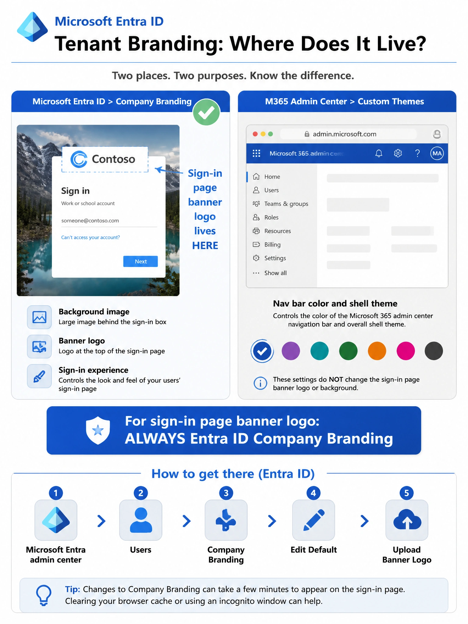 Portrait infographic 2048x1536, clean Microsoft admin portal style with blue and white tones. Top section header reads 'Tenant Branding: Where Does It Live?' with the Microsoft Entra ID logo. Center layout shows two side-by-side panels: Left panel labeled 'Microsoft Entra ID > Company Branding' with icons for a sign-in screen mockup showing a banner logo at the top, a background image behind a login box, and an arrow labeled 'Sign-in page banner logo lives HERE'. Right panel labeled 'M365 Admin Center > Custom Themes' with an icon of a browser toolbar with color swatches labeled 'Nav bar color and shell theme'. A bold callout box in the center reads 'For sign-in page banner logo: ALWAYS Entra ID Company Branding'. Bottom section shows a simple step-by-step path: Microsoft Entra admin center > Users > Company Branding > Edit Default > Upload Banner Logo. Use Segoe UI font, Microsoft blue (#0078D4) for headings, light gray backgrounds for panels, green checkmark next to correct answer panel.