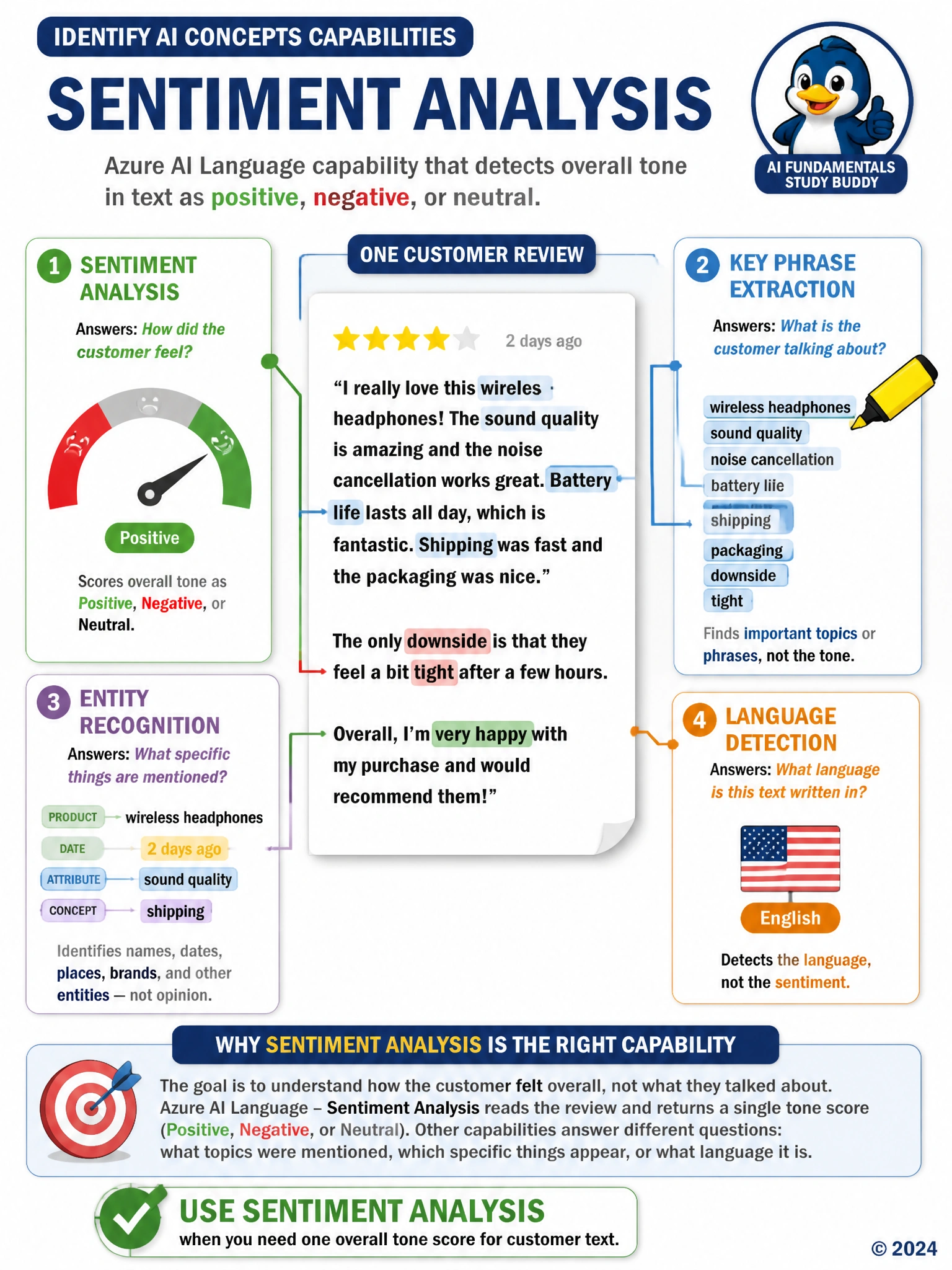 Portrait infographic contrasting four NLP tasks on one page of customer review text: a thumbs-up and thumbs-down gauge labeled Sentiment Analysis pointing at overall tone, a highlighter icon over topic words labeled Key Phrase Extraction, tags on names and dates labeled Entity Recognition, and a flag icon labeled Language Detection.