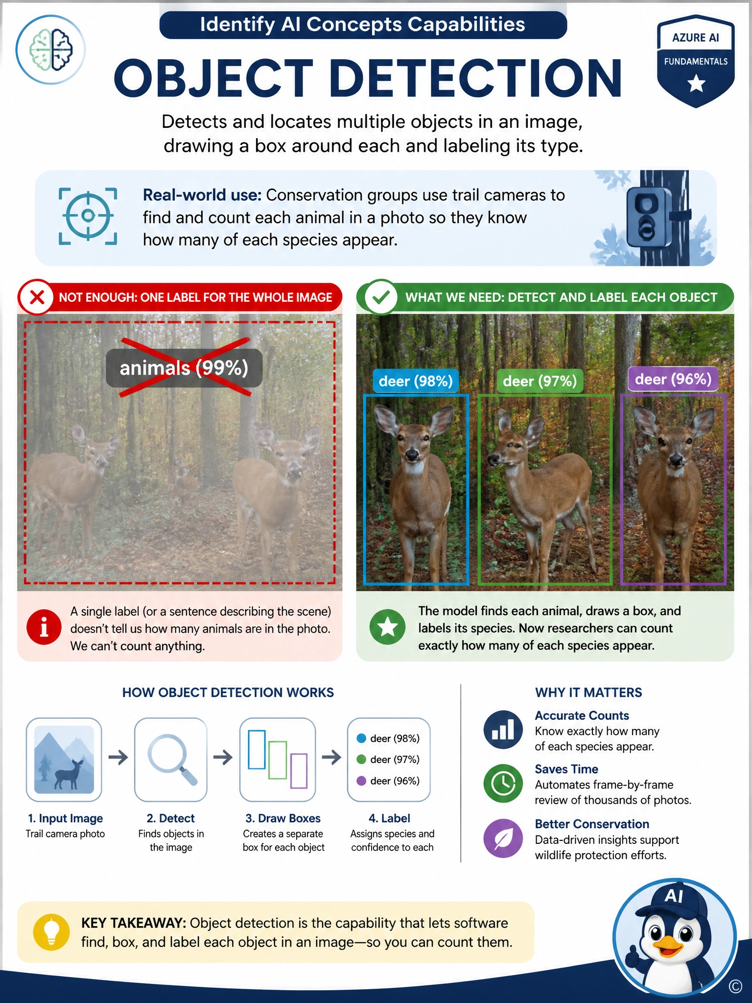 Portrait infographic of a wildlife photo with three separate bounding boxes drawn around three different animals, each box labeled with a species name and confidence percentage, contrasted with a faded single whole-image label reading 'animals' crossed out above it.