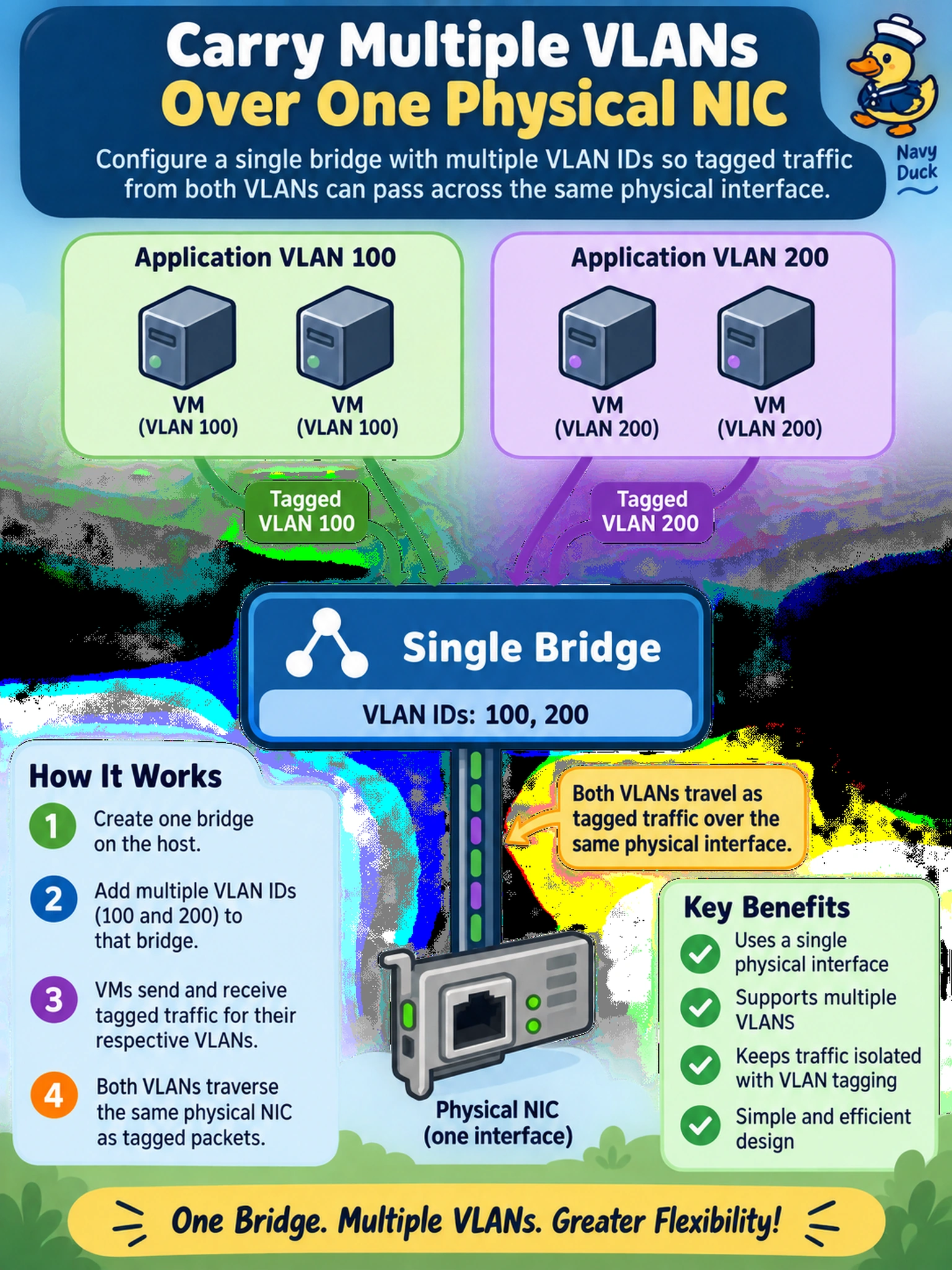 To Create an exciting colorful infographic that explains the concepts in the question: Question: An AHV cluster needs two application VLANs, 100 and 200, to reach VMs over the same physical NIC. What should the administrator do so both VLANs can traverse that interface? Correct Answer: Configure a single bridge with multiple VLAN IDs so tagged traffic from both VLANs can pass across the same physical interface. Put EVERY visible label in double quotes. No people. No A/B/C/D letters. In one of the four corners put a little "Navy Duck".
