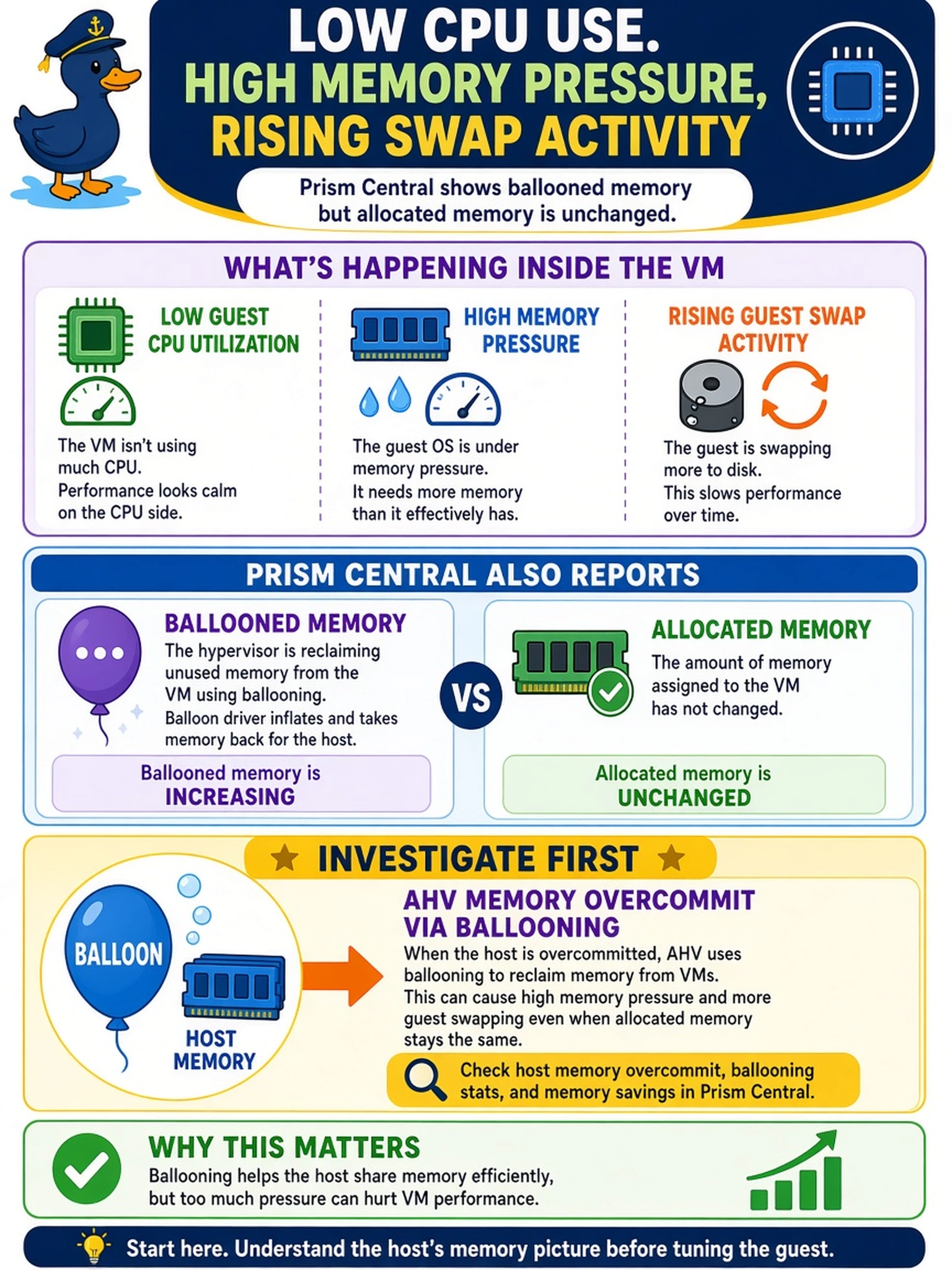 To Create an exciting colorful infographic that explains the concepts in the question: Question: An AHV VM shows low guest CPU utilization, high memory pressure, and rising guest swap activity. Prism Central also reports ballooned memory for the VM, while its allocated memory has not changed. What should you investigate first? Correct Answer: AHV memory overcommit via ballooning Put EVERY visible label in double quotes. No people. No A/B/C/D letters. In one of the four corners put a little "Navy Duck".
