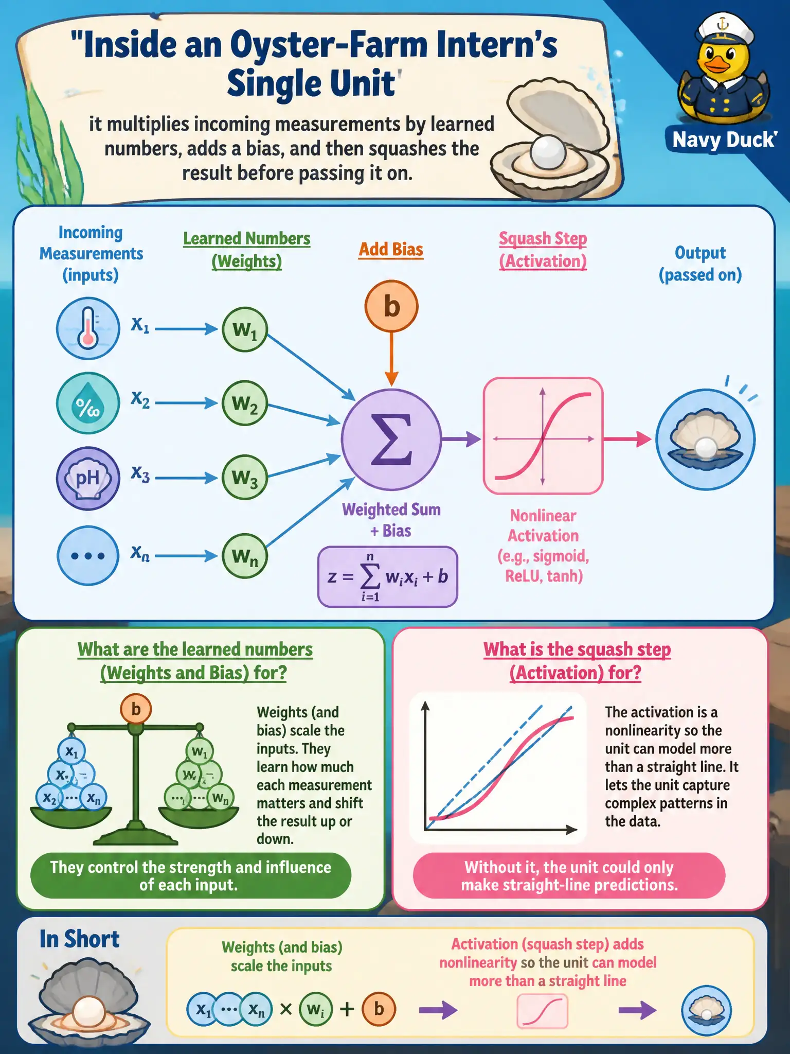 To Create an exciting colorful infographic that explains the concepts in the question: Question: An oyster-farm intern draws a single unit that multiplies incoming measurements by learned numbers, adds a bias, and then squashes the result before passing it on. What are the learned numbers and the squash step for? Correct Answer: Weights (and bias) scale the inputs; the activation is a nonlinearity so the unit can model more than a straight line. Put EVERY visible label in double quotes. No people. No A/B/C/D letters. In one of the four corners put a little "Navy Duck".