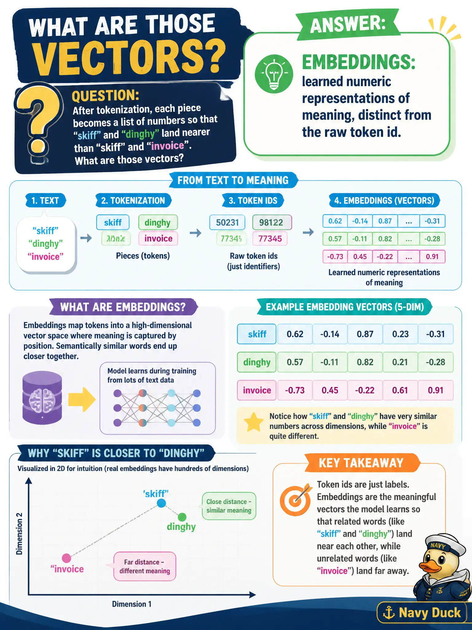 To Create an exciting colorful infographic that explains the concepts in the question: Question: After tokenization, each piece becomes a list of numbers so that “skiff” and “dinghy” land nearer than “skiff” and “invoice.” What are those vectors? Correct Answer: Embeddings: learned numeric representations of meaning, distinct from the raw token id. Put EVERY visible label in double quotes. No people. No A/B/C/D letters. In one of the four corners put a little "Navy Duck".