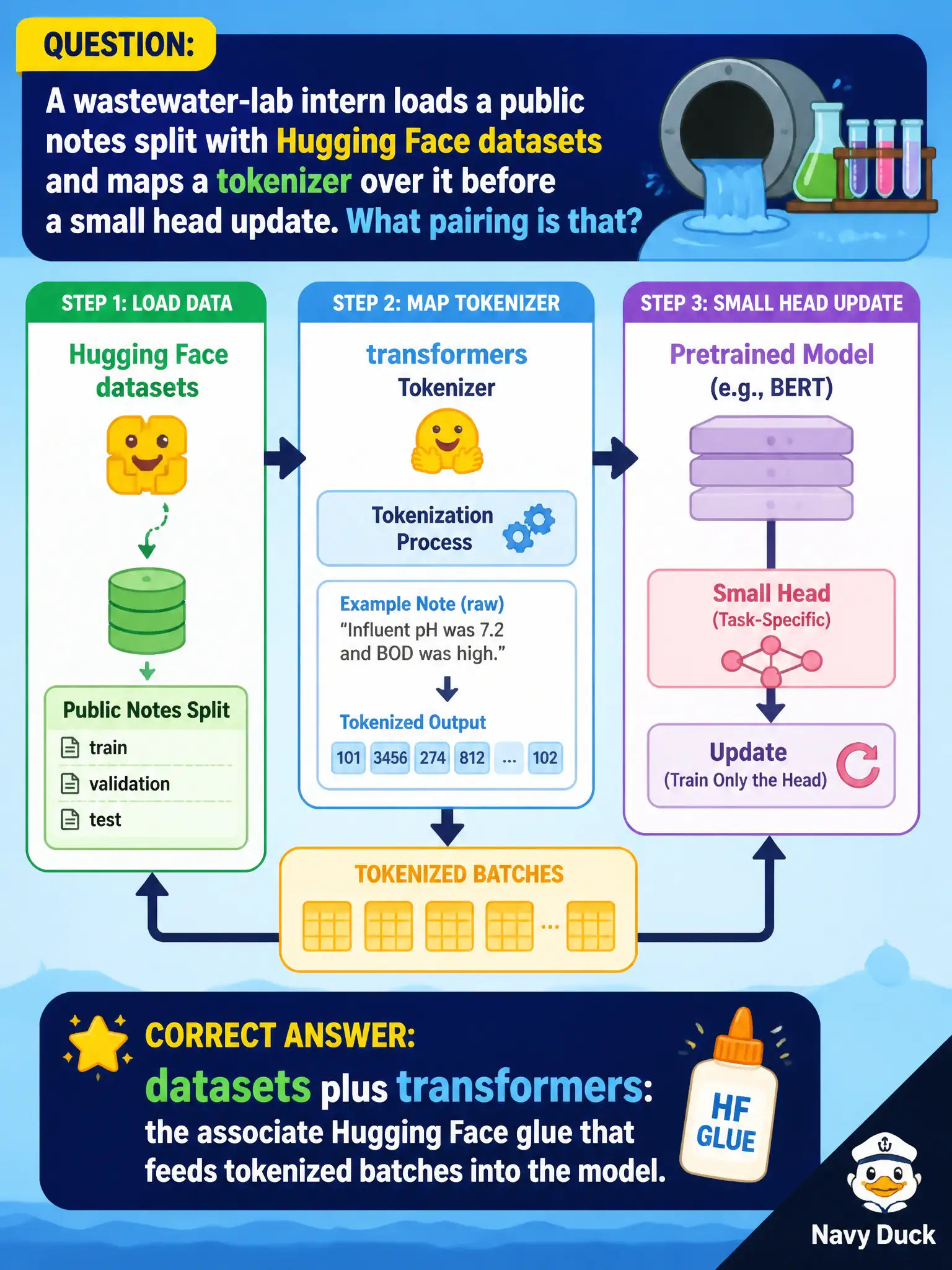 To Create an exciting colorful infographic that explains the concepts in the question: Question: A wastewater-lab intern loads a public notes split with Hugging Face datasets and maps a tokenizer over it before a small head update. What pairing is that? Correct Answer: datasets plus transformers: the associate Hugging Face glue that feeds tokenized batches into the model. Put EVERY visible label in double quotes. No people. No A/B/C/D letters. In one of the four corners put a little "Navy Duck".