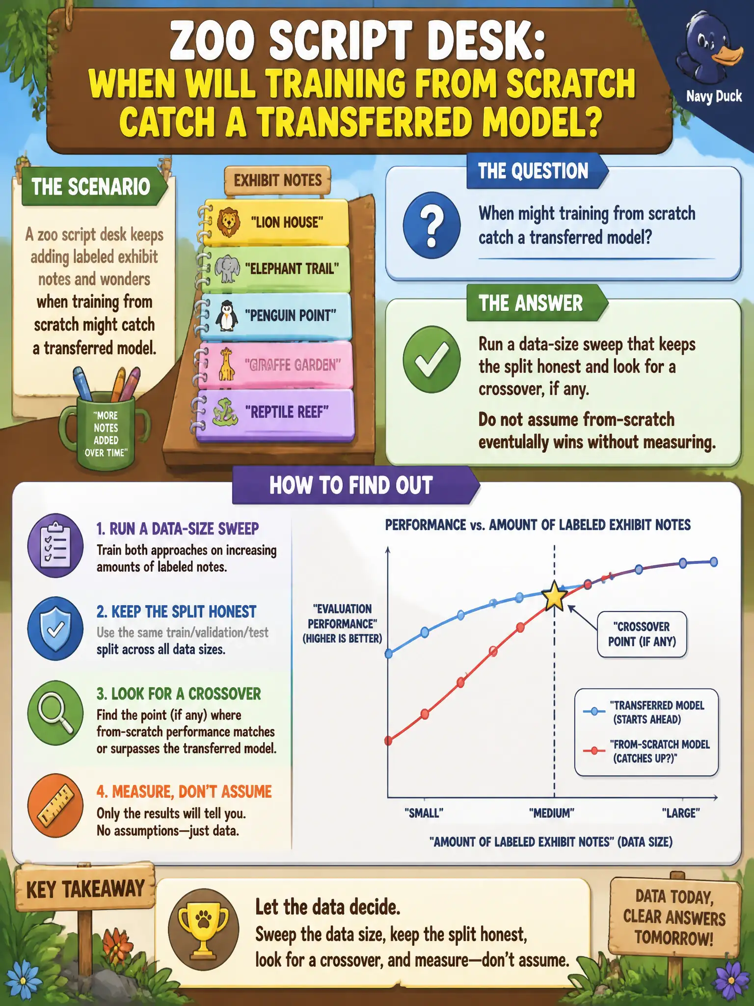 To Create an exciting colorful infographic that explains the concepts in the question: Question: A zoo script desk keeps adding labeled exhibit notes and wonders when training from scratch might catch a transferred model. How should they find out? Correct Answer: Run a data-size sweep that keeps the split honest and look for a crossover, if any. Do not assume from-scratch eventually wins without measuring. Put EVERY visible label in double quotes. No people. No A/B/C/D letters. In one of the four corners put a little "Navy Duck".