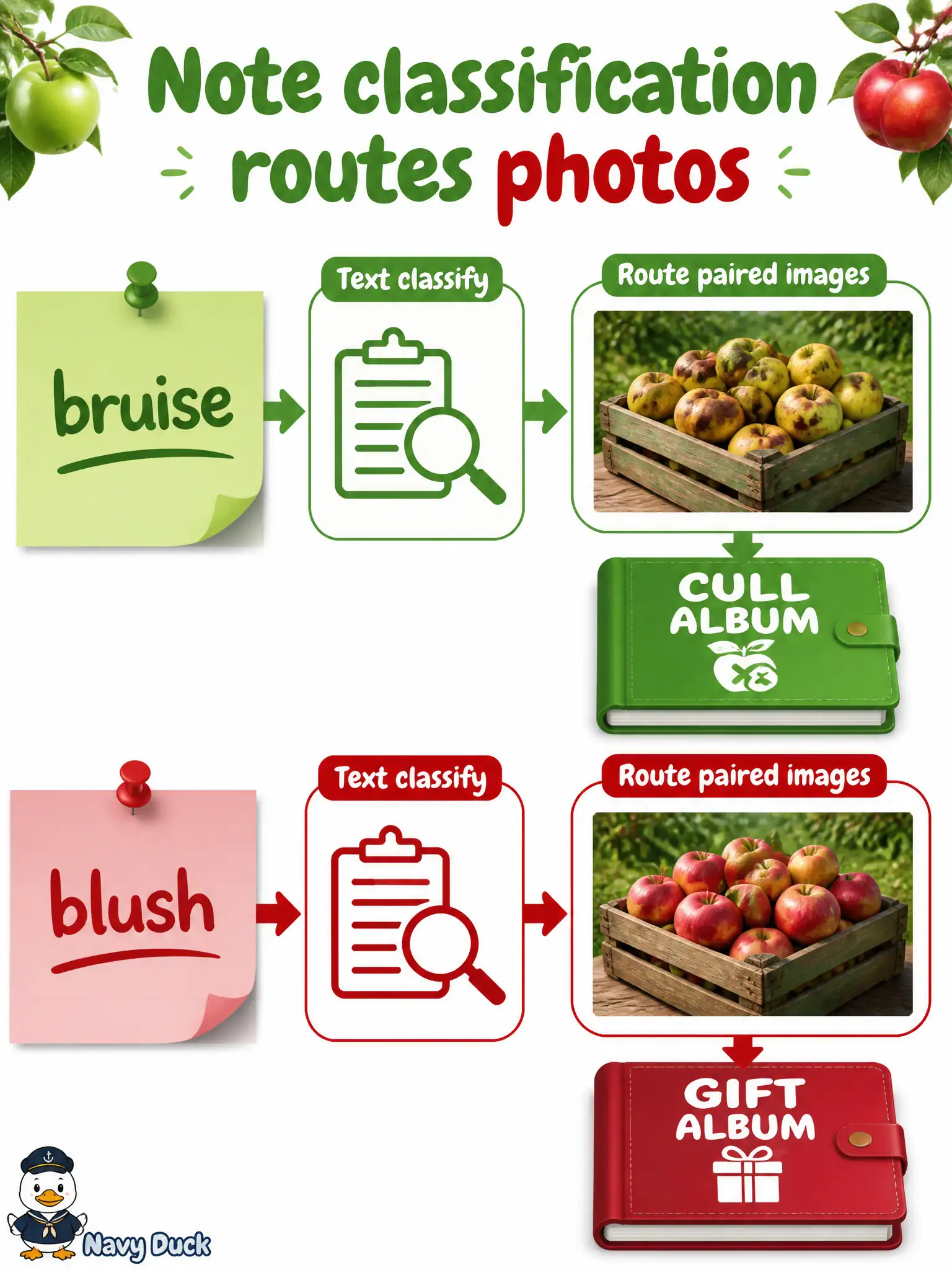 To Create an exciting colorful infographic that explains the concepts in the question: Question: An orchard packing-shed pins a one-line note to each crate photo. A pretrained text classifier should send “bruise” notes to the cull album and “blush” notes to the gift album. What is the right first experiment when notes are present? Correct Answer: Classify the notes to route paired photos before retraining a bruise detector on pixels Put EVERY visible label in double quotes. No people. No A/B/C/D letters. In one of the four corners put a little "Navy Duck".