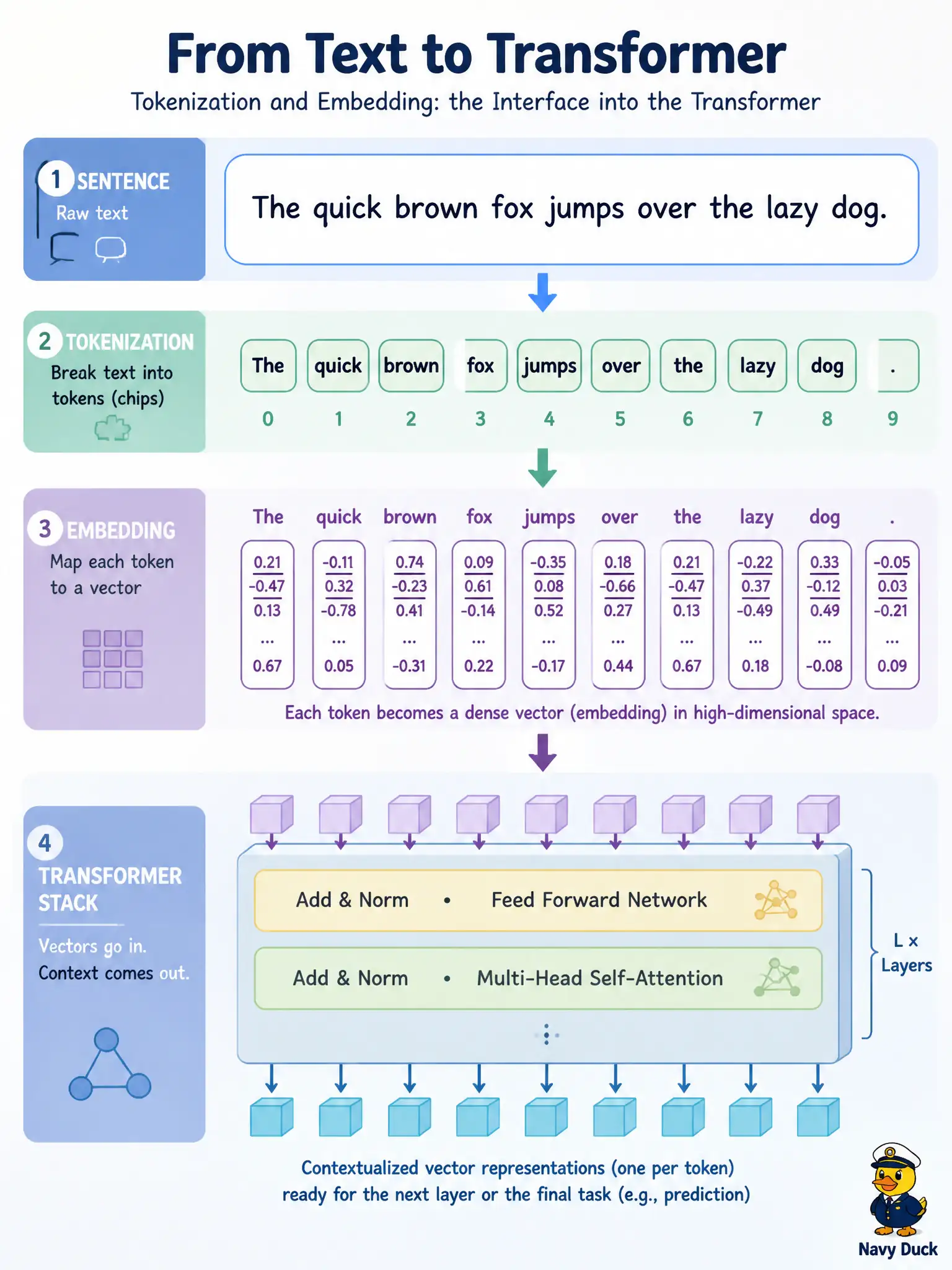 To Create an exciting colorful infographic that explains the concepts in the question: Question: A cobbler bench places a care sentence next to a sole photo. Before the language stack can run on that sentence, what must happen to the text? Correct Answer: The sentence is split into tokens and each token is mapped to an embedding vector. Put EVERY visible label in double quotes. No people. No A/B/C/D letters. In one of the four corners put a little "Navy Duck".