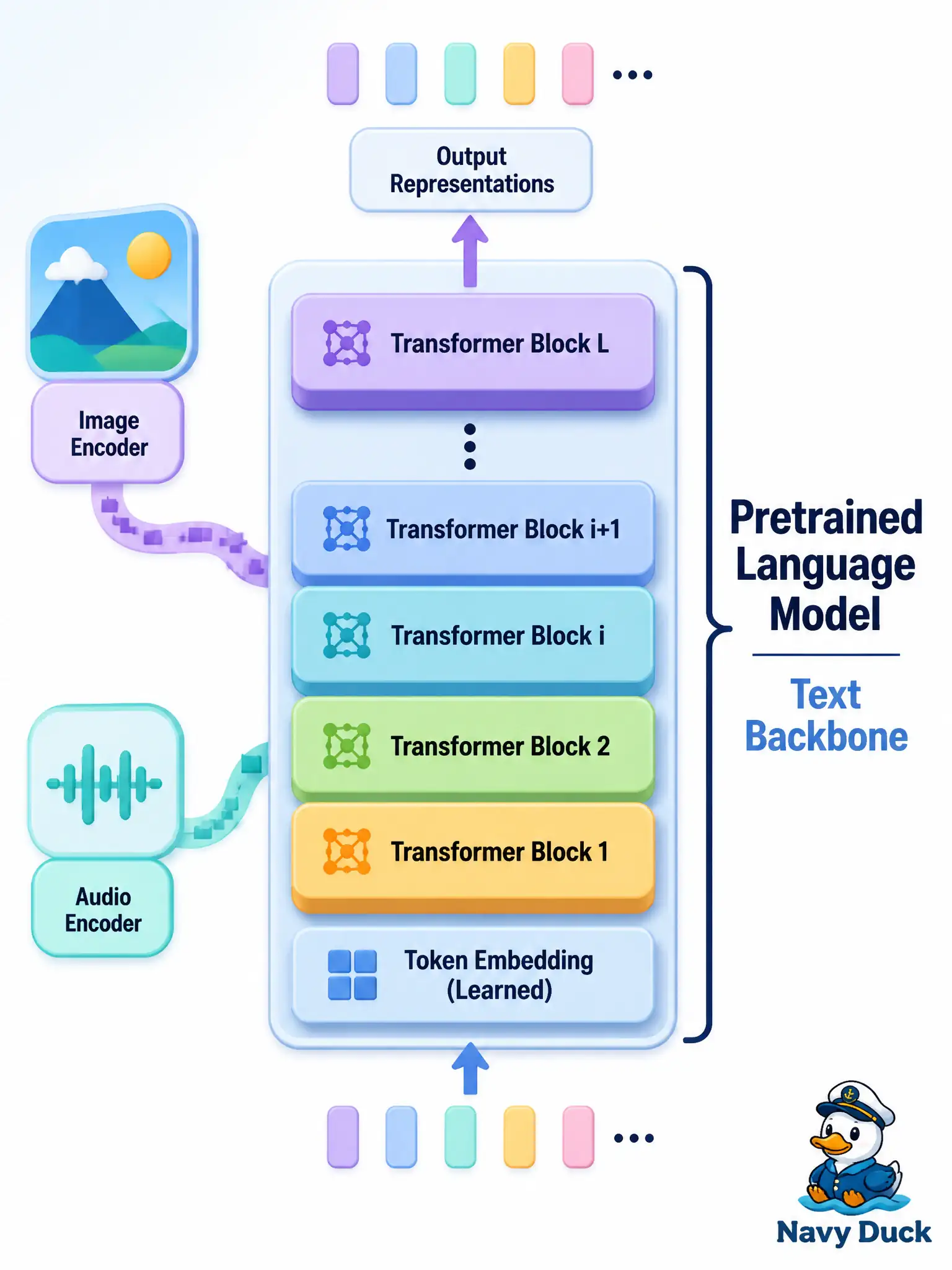 To Create an exciting colorful infographic that explains the concepts in the question: Question: A wool-carding mill is offered “a modern pretrained language model” to sit beside fleece stills in a multimodal pilot. How should the team describe what that model is? Correct Answer: A stack of transformer blocks already trained on text, usable as the text building block of a multimodal system. Put EVERY visible label in double quotes. No people. No A/B/C/D letters. In one of the four corners put a little "Navy Duck".