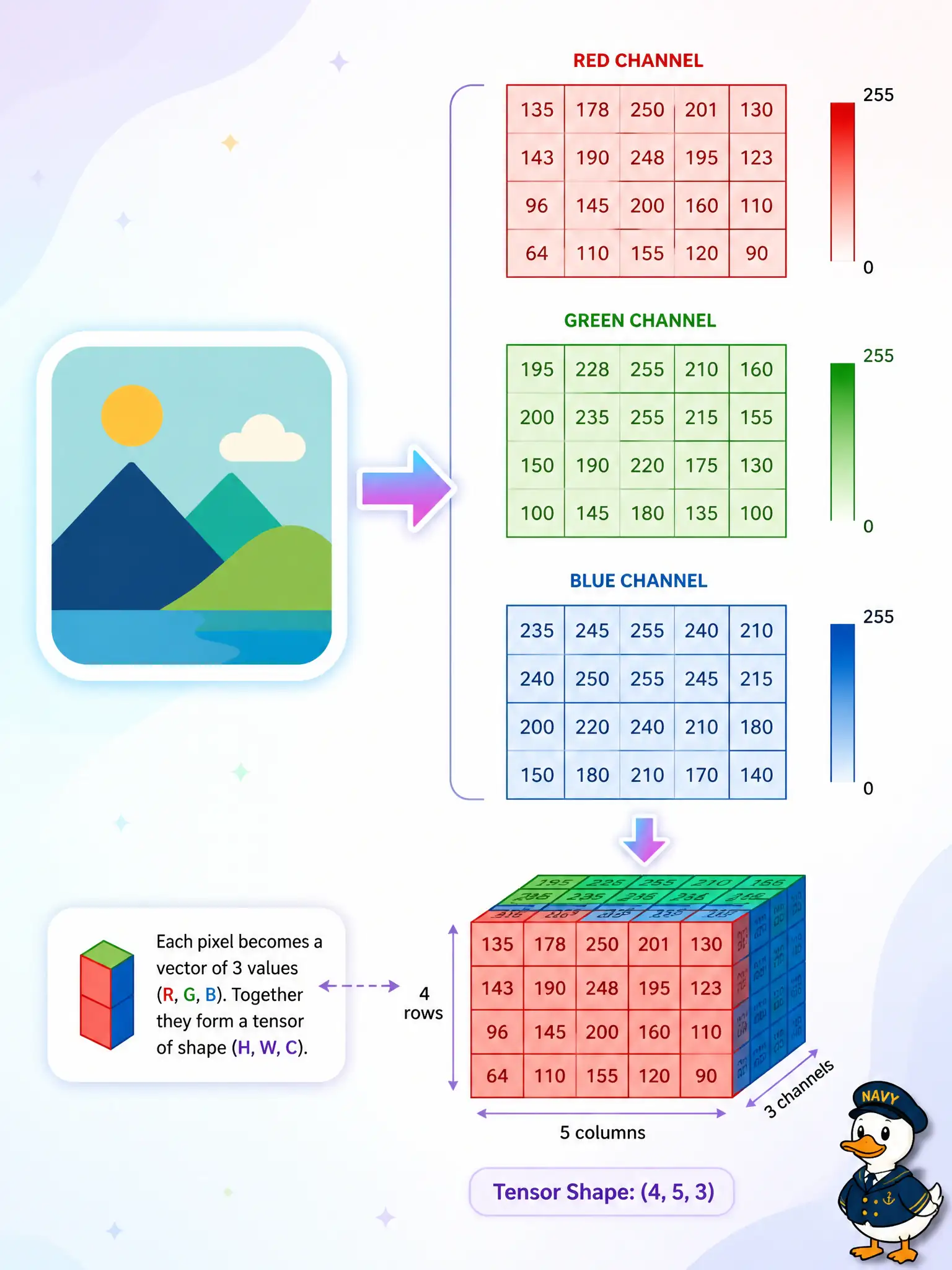 To Create an exciting colorful infographic that explains the concepts in the question: Question: A copper-roofing shop has JPEG stills of seams ready for a vision model. What readiness step makes those stills neural-network ready? Correct Answer: Convert them into a numeric tensor—a regular grid of channel values at a sensible scale—not leave them as unopened files on disk. Put EVERY visible label in double quotes. No people. No A/B/C/D letters. In one of the four corners put a little "Navy Duck".