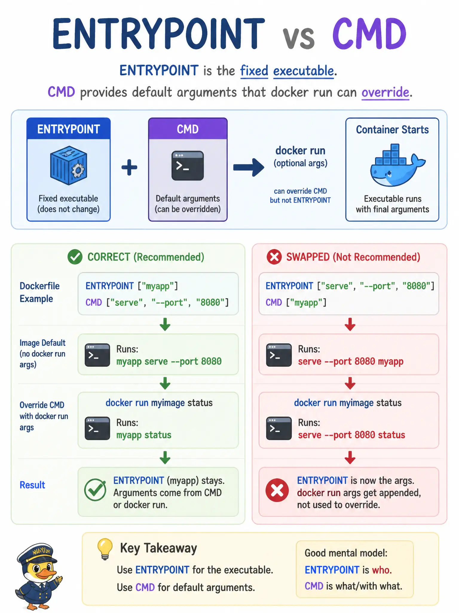 To Create an exciting colorful infographic that explains the concepts in the question: Question: Operators pass extra CLI arguments at docker run for a traffic-signal simulator image, but the container seems to ignore them. Which ENTRYPOINT/CMD relationship should they verify? Correct Answer: ENTRYPOINT names the executable the container always runs; CMD supplies default arguments a caller can replace Put EVERY visible label in double quotes. No people. No A/B/C/D letters. In one of the four corners put a little "Navy Duck".