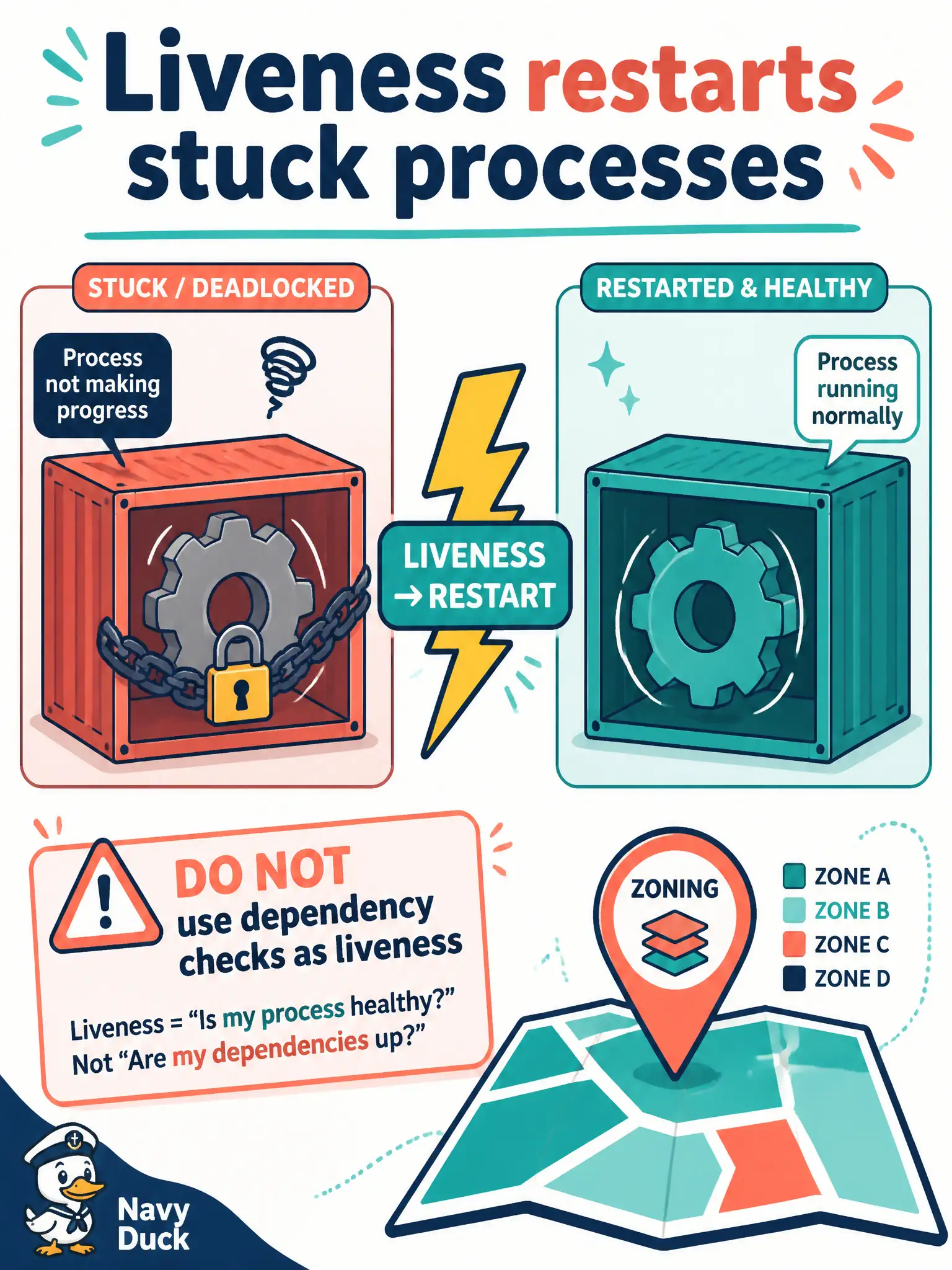 To Create an exciting colorful infographic that explains the concepts in the question: Question: A zoning-map microservice listens on its port but deadlocks and stops handling requests. Extra replicas alone do not clear the stuck processes. Which probe should restart the unhealthy containers? Correct Answer: A liveness probe that detects the stuck process and restarts the container Put EVERY visible label in double quotes. No people. No A/B/C/D letters. In one of the four corners put a little "Navy Duck".