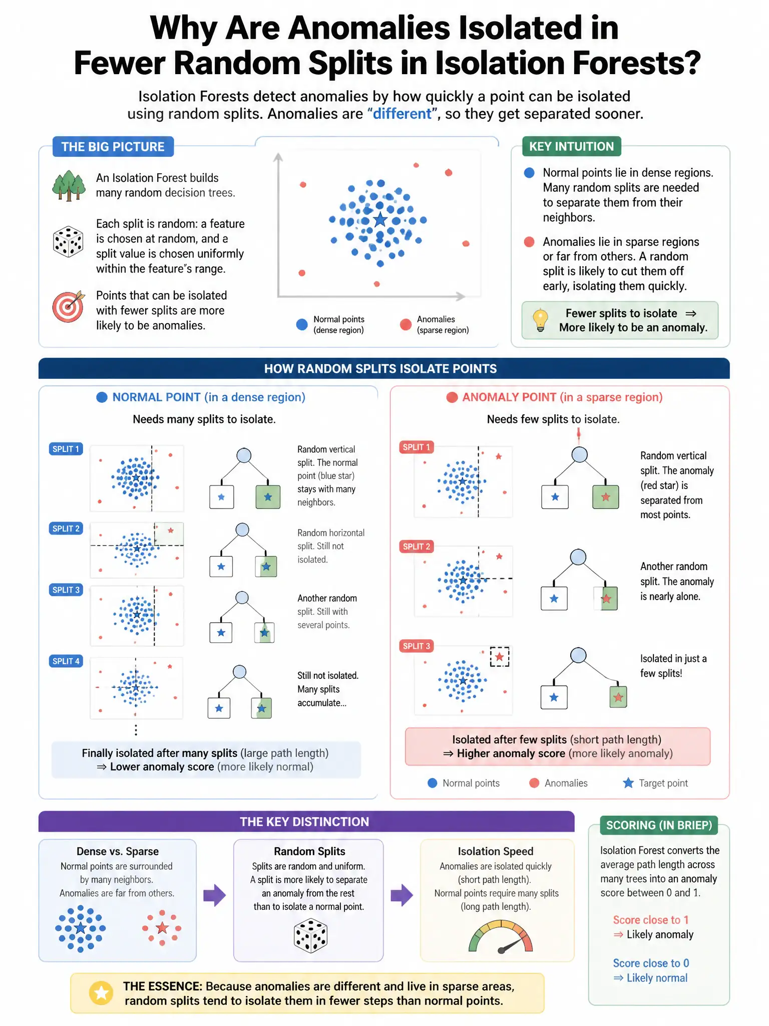 Portrait educational infographic teaching: In isolation forests for anomaly detection, why are anomalies isolated in fewer random splits than normal points?. Show labeled components, decision flow, and the key distinction that makes the correct answer correct. Clean modern diagram style.