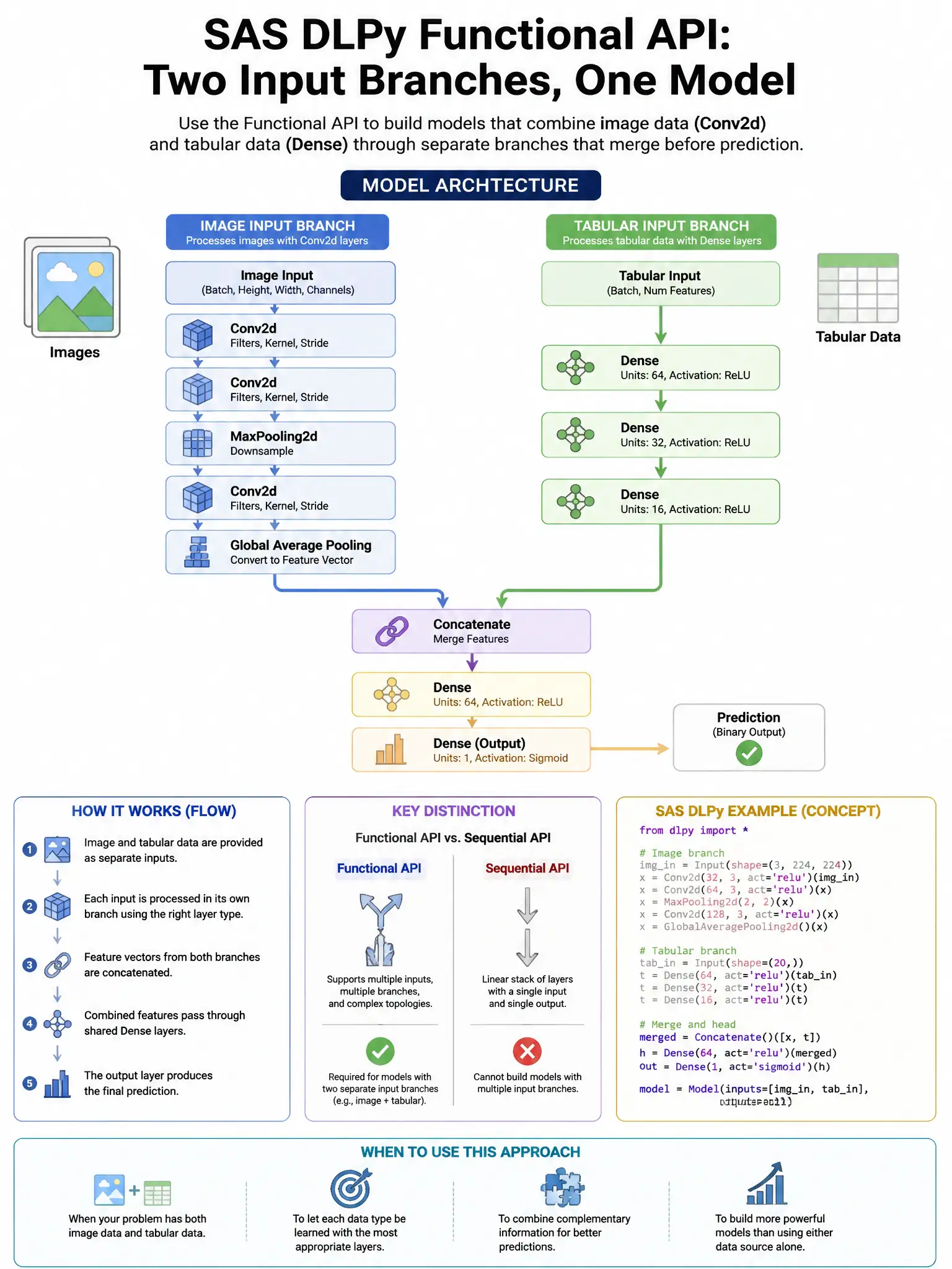Portrait educational infographic teaching: In SAS DLPy, the Functional API is used to build a model with two separate input branches. One branch processes images via Conv2d layers, the other processes tabular data via Dense. Show labeled components, decision flow, and the key distinction that makes the correct answer correct. Clean modern diagram style.