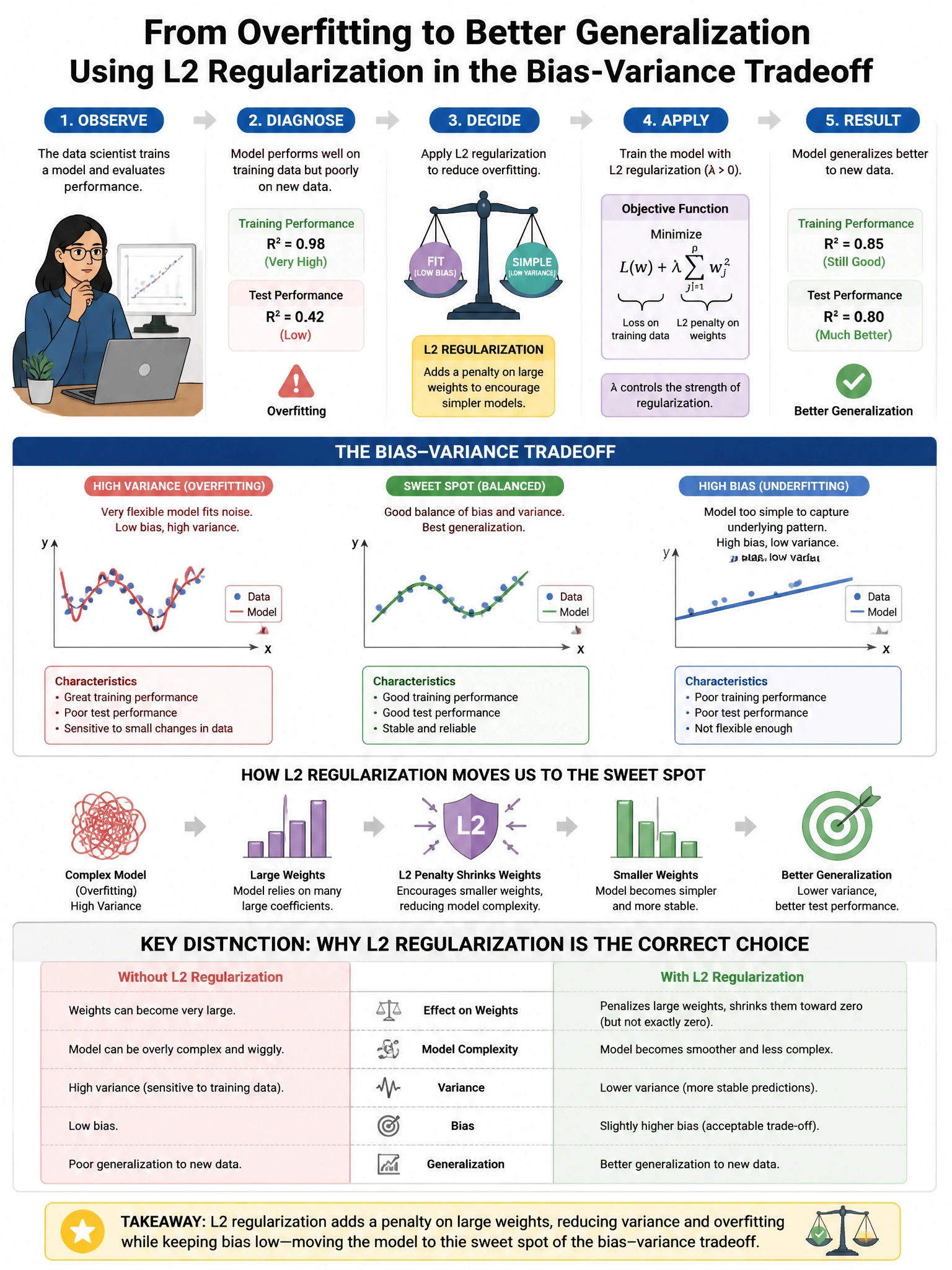 Portrait educational infographic teaching: A data scientist observes that a model performs well on training data but poorly on new data. They decide to apply L2 regularization. In the context of the bias-variance tradeoff, . Show labeled components, decision flow, and the key distinction that makes the correct answer correct. Clean modern diagram style.