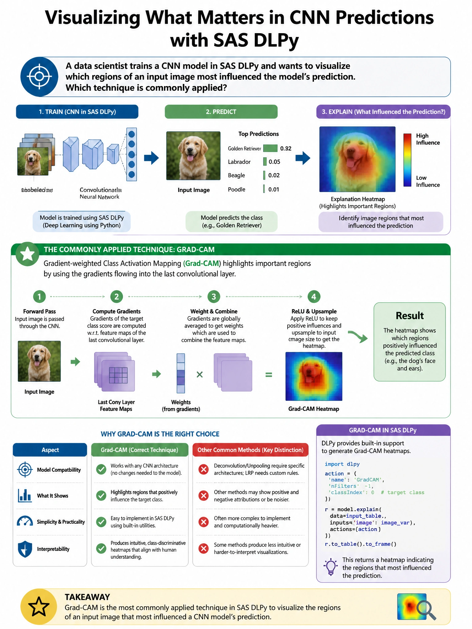 Portrait educational infographic teaching: In SAS DLPy, a data scientist trains a CNN model and wants to visualize which regions of an input image most influenced the model's prediction. Which technique is commonly applied . Show labeled components, decision flow, and the key distinction that makes the correct answer correct. Clean modern diagram style.