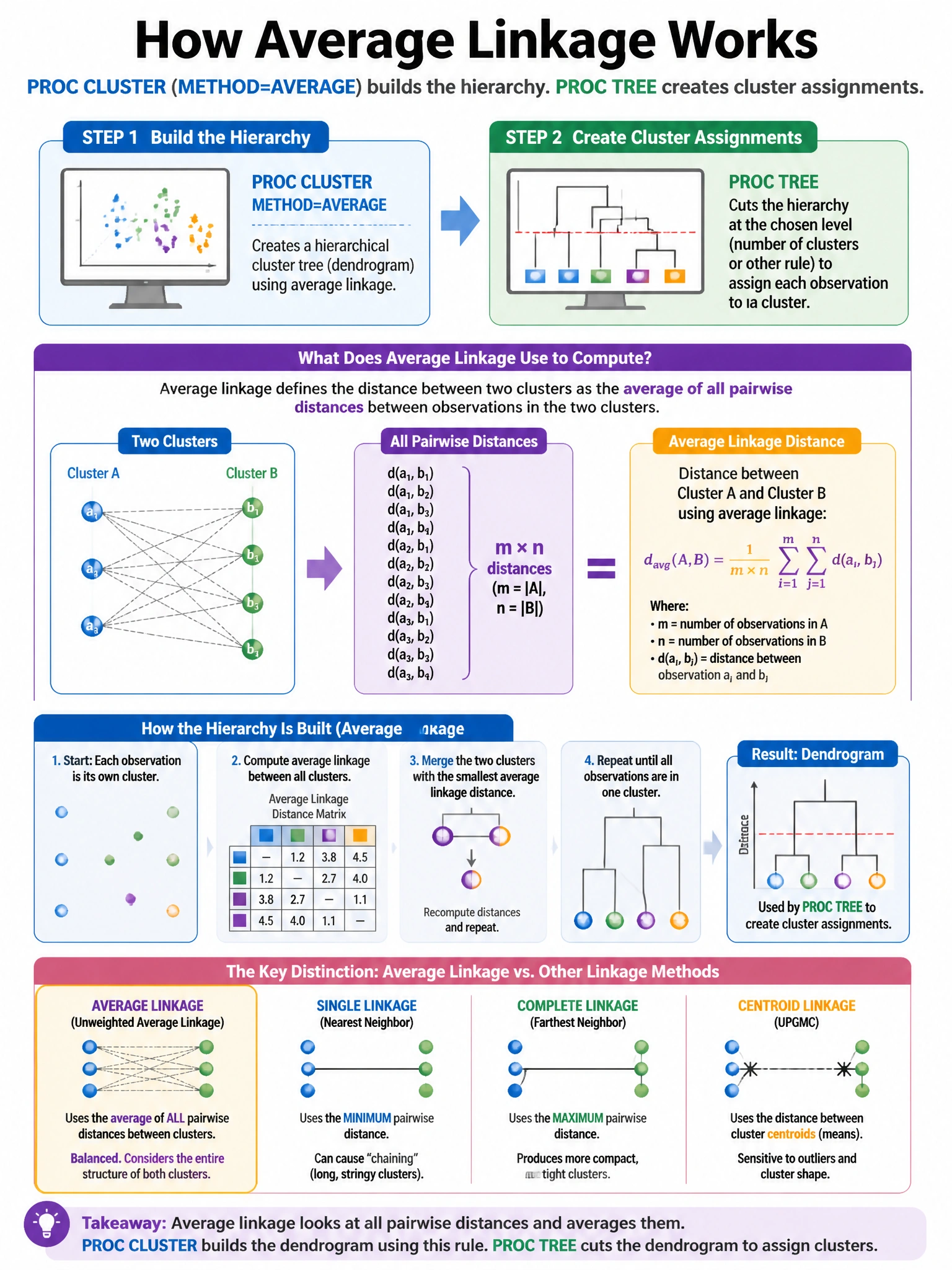 Portrait educational infographic teaching: A data scientist runs PROC CLUSTER with METHOD=AVERAGE (unweighted average linkage) and then uses PROC TREE to create cluster assignments. What does average linkage use to compute . Show labeled components, decision flow, and the key distinction that makes the correct answer correct. Clean modern diagram style.