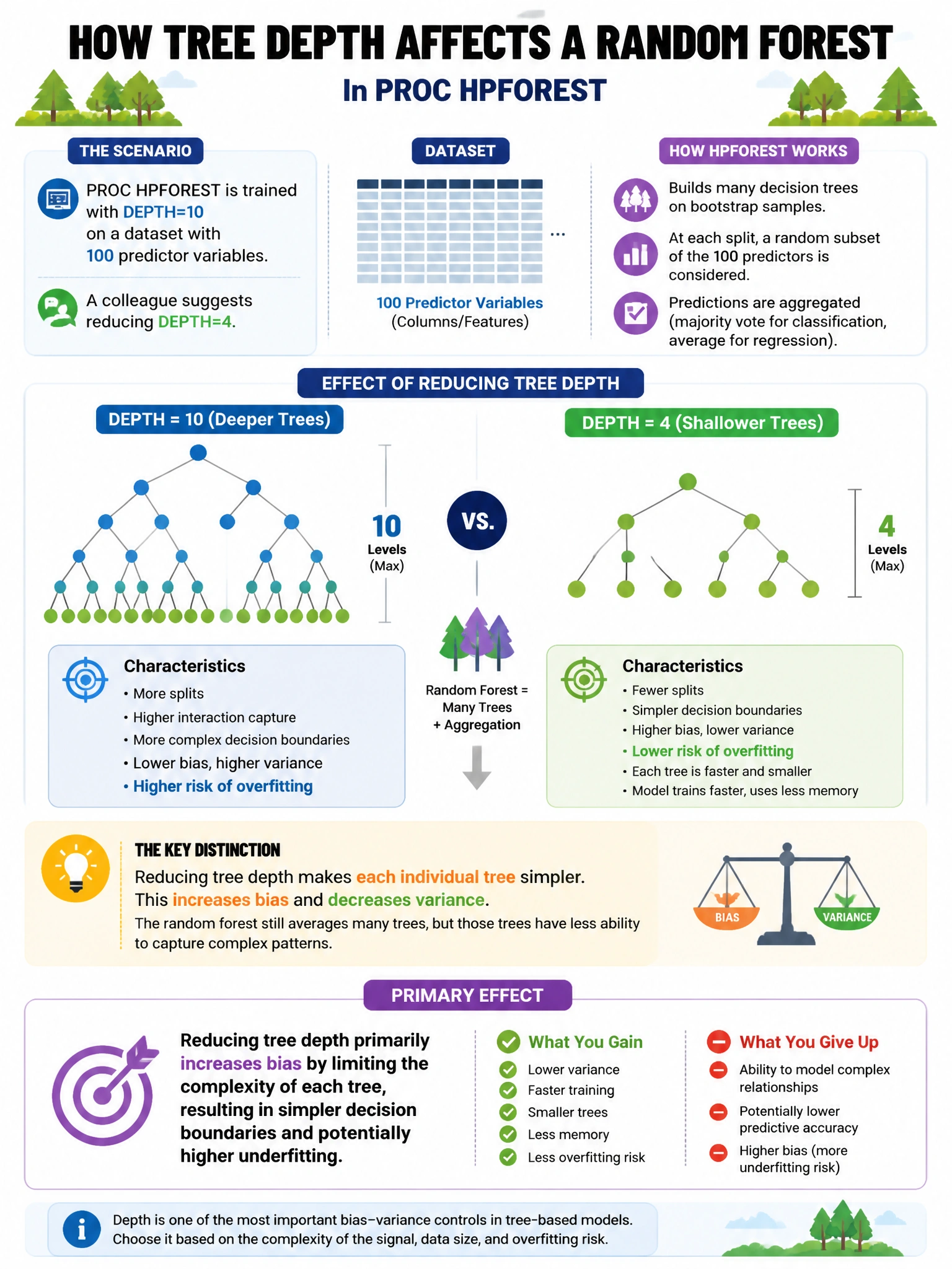 Portrait educational infographic teaching: PROC HPFOREST is trained with DEPTH=10 on a dataset with 100 predictor variables. A colleague suggests reducing DEPTH=4. What is the primary effect of reducing tree depth in a rand. Show labeled components, decision flow, and the key distinction that makes the correct answer correct. Clean modern diagram style.
