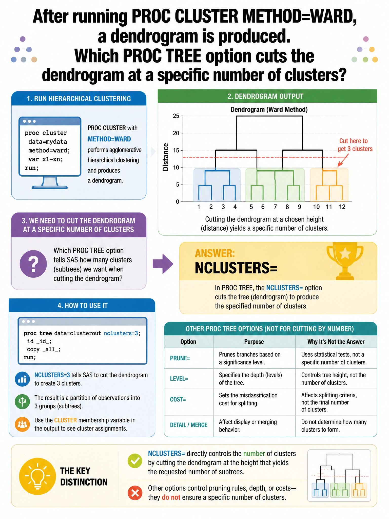 Portrait educational infographic teaching: After running PROC CLUSTER METHOD=WARD, a dendrogram is produced. Which PROC TREE option cuts the dendrogram at a specific number of clusters?. Show labeled components, decision flow, and the key distinction that makes the correct answer correct. Clean modern diagram style.