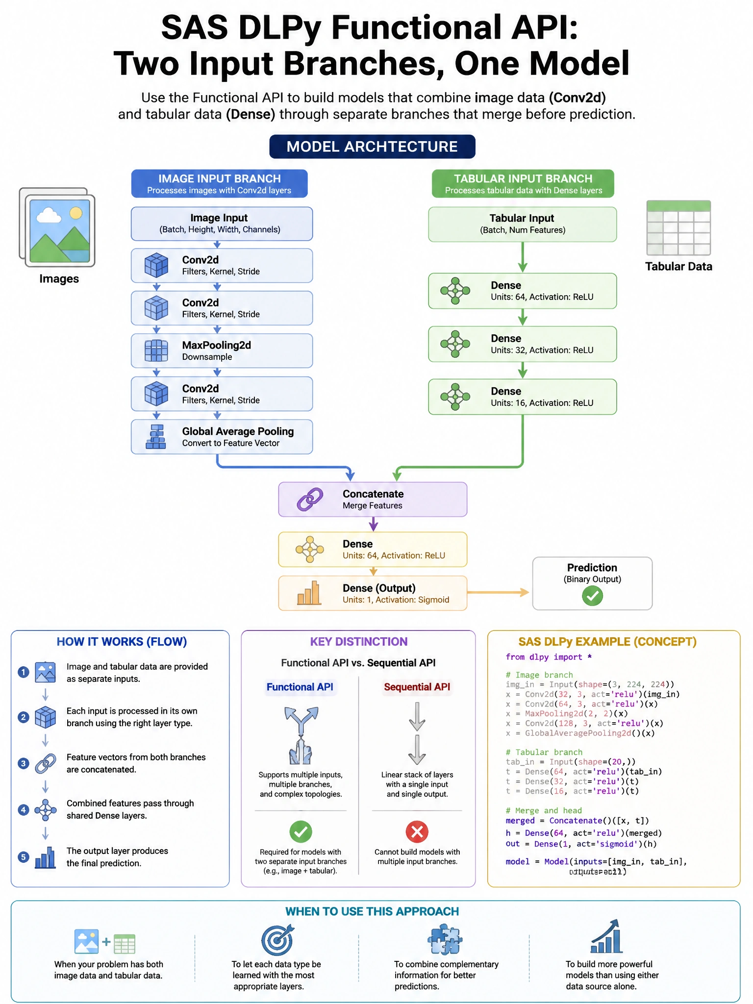 Portrait educational infographic teaching: In SAS DLPy, the Functional API is used to build a model with two separate input branches. One branch processes images via Conv2d layers, the other processes tabular data via Dense. Show labeled components, decision flow, and the key distinction that makes the correct answer correct. Clean modern diagram style.