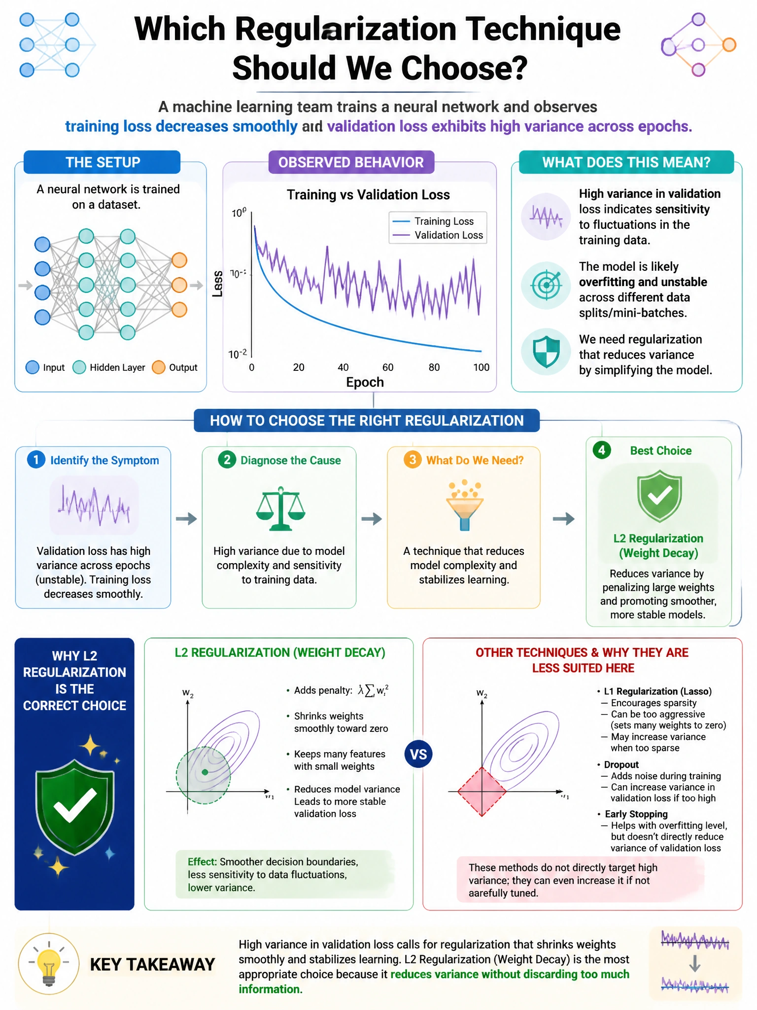 Portrait educational infographic teaching: A machine learning team trains a neural network and observes that training loss decreases smoothly but validation loss exhibits high variance across epochs. Which regularization te. Show labeled components, decision flow, and the key distinction that makes the correct answer correct. Clean modern diagram style.