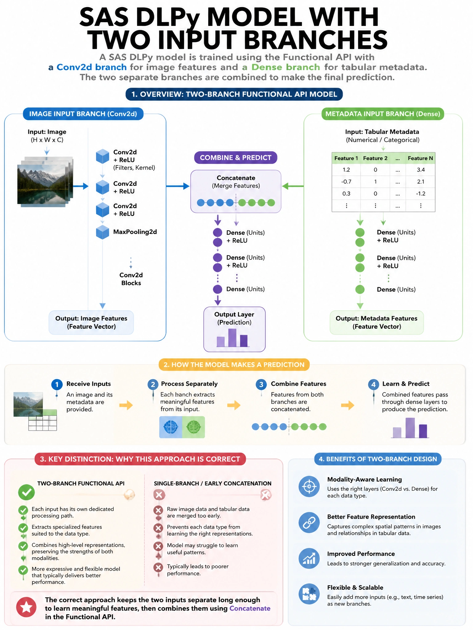 Portrait educational infographic teaching: A SAS DLPy model is trained using the Functional API with two input branches: one Conv2d branch for image features and one Dense branch for tabular metadata. How are the two separa. Show labeled components, decision flow, and the key distinction that makes the correct answer correct. Clean modern diagram style.