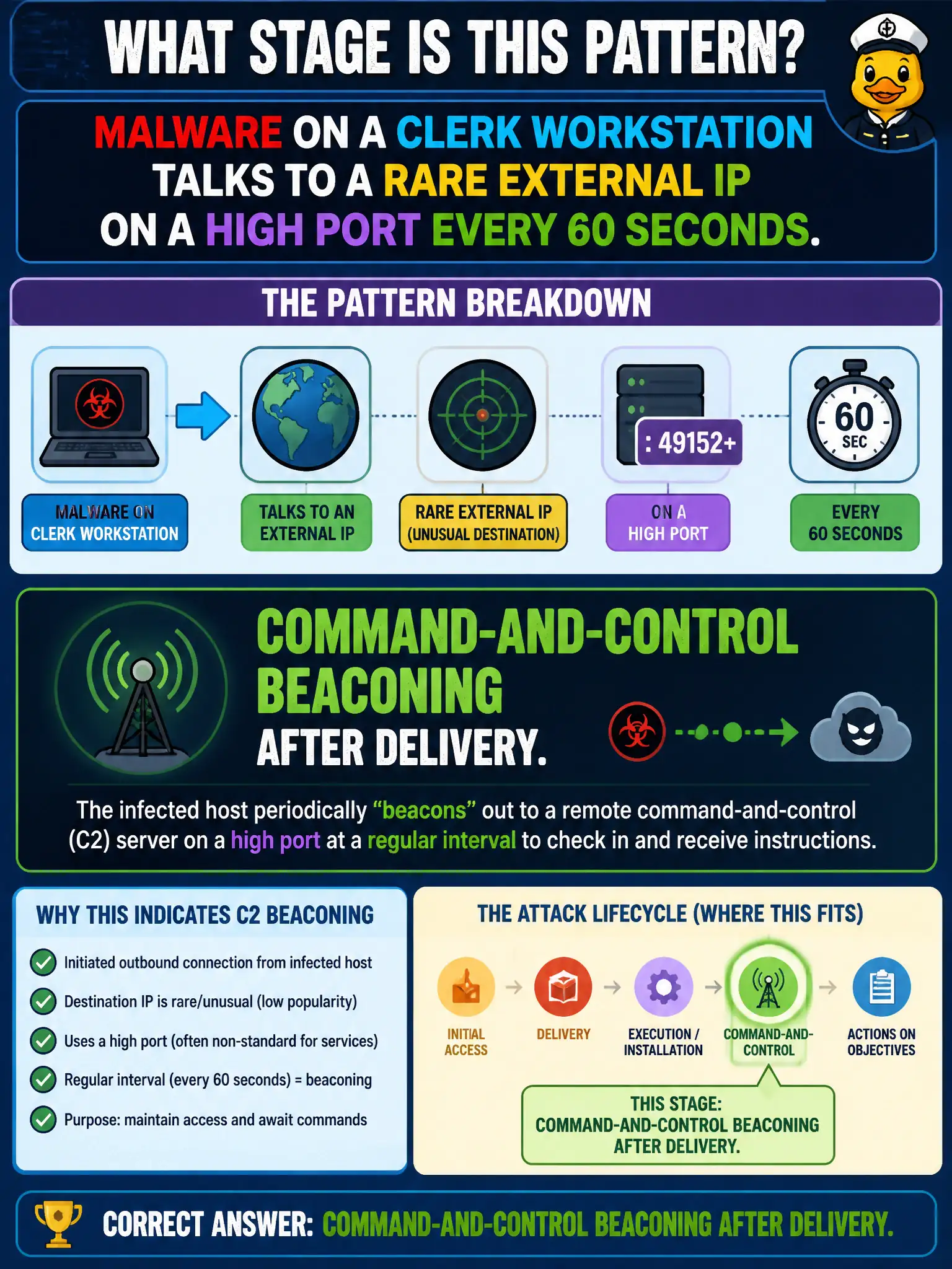 To Create an exciting colorful infographic that explains the concepts in the question: Question: Malware on a clerk workstation talks to a rare external IP on a high port every 60 seconds. What stage is this pattern? Correct Answer: Command-and-control beaconing after delivery. Put EVERY visible label in double quotes. No people. No A/B/C/D letters. In one of the four corners put a little "Navy Duck".